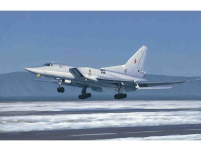 Tu-22M3 Backfire C Strategic bomber 