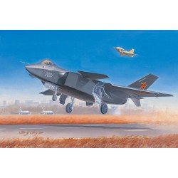 Chinese J-20 Fighter 