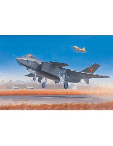 Chinese J-20 Fighter 