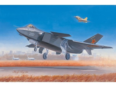 Chinese J-20 Fighter 