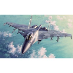 Russian Su-33 Flanker D 
