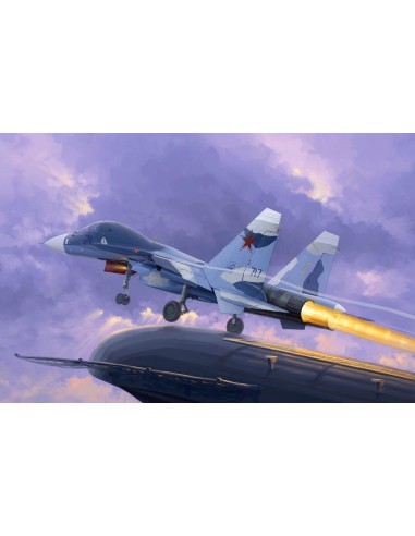 Russian Su-33UB Flanker D 