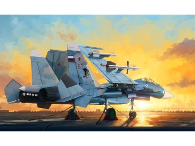 Russian Su-33 Flanker D 
