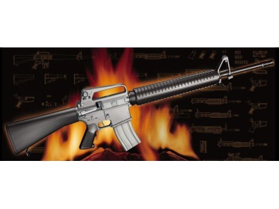 AR15/M16/M4 Family-M16A2 