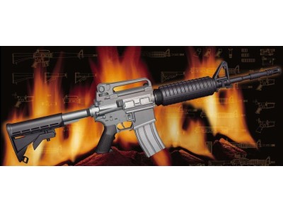 AR15/M16/M4 Family-M4A1 