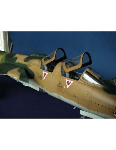 Republic F-105 G Wild Weasel 