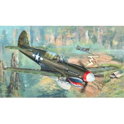 P-40N War Hawk 