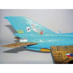 MiG-21 UM Test 