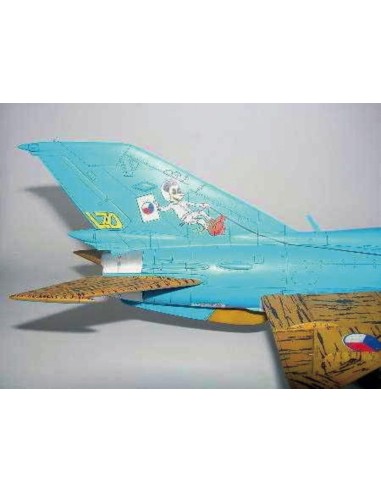 MiG-21 UM Test 