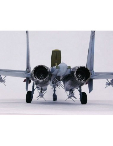 Sukhoi Su-27 Flanker B 