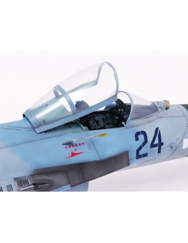 Sukhoi Su-27 Flanker B 