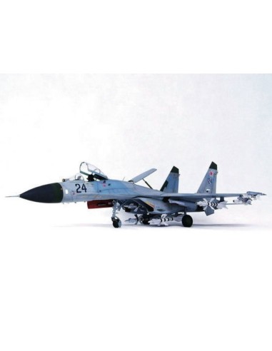 Sukhoi Su-27 Flanker B 