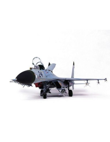Sukhoi Su-27 Flanker B 