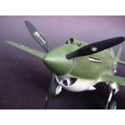 Curtiss P-40B Warhawk 
