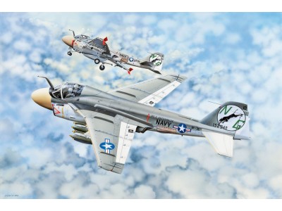 A-6A "Intruder" 