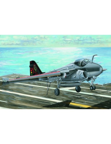 A-6E/TRAM "INTRUDER" 