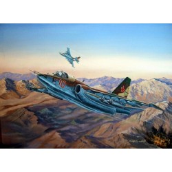 Su-25 Frogfoot A 