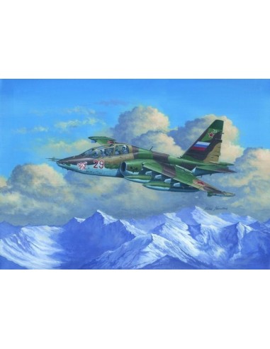 Su-25UB Frogfoot B 