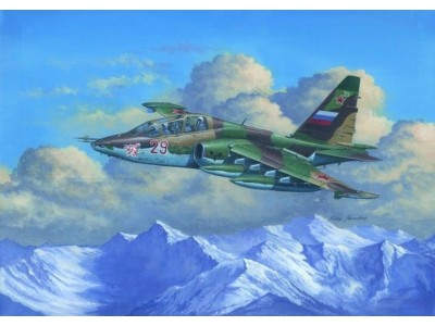 Su-25UB Frogfoot B 