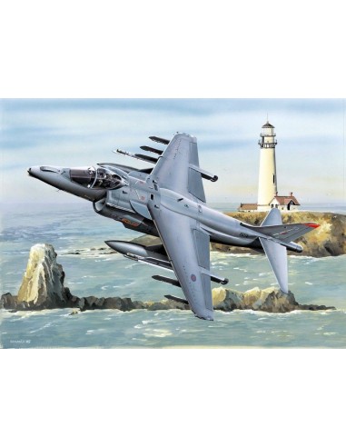 RAF Harrier GR.MK7 