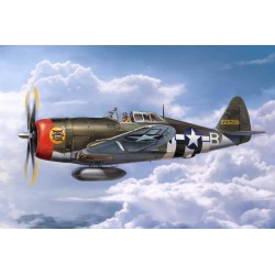 P-47D Thunderbolt Razorback 