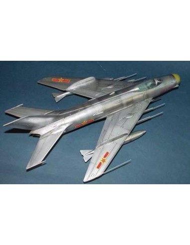MiG-19 PM Farmer E 