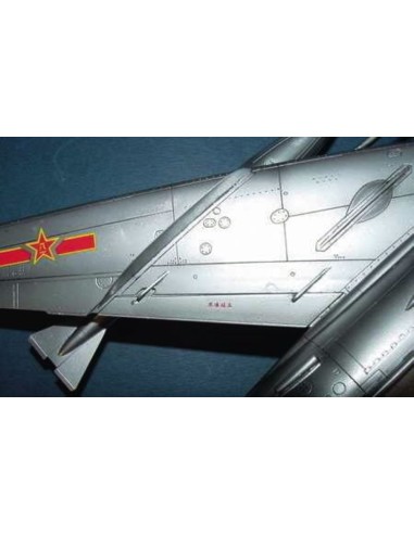 MiG-19 PM Farmer E 