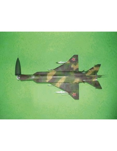 Sukhoi Su-15 TM Flagon F 