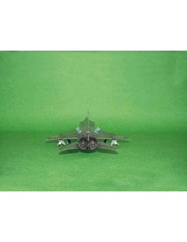 Sukhoi Su-15 UM Flagon F 