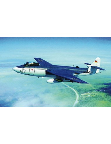 Seahawk MK.100/101 