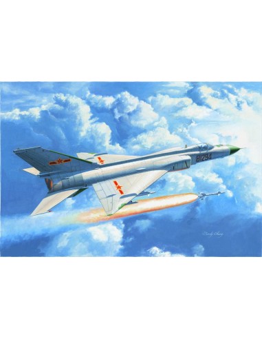 Chinese J-8IID fighter 