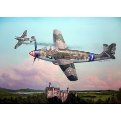 German Messerschmitt Me509 Fighter 