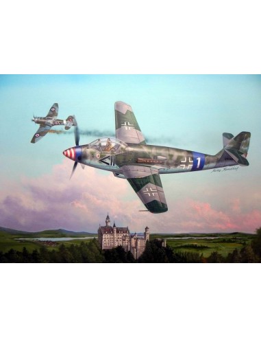 German Messerschmitt Me509 Fighter 
