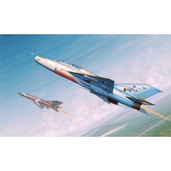 MiG-21UM Fighter 