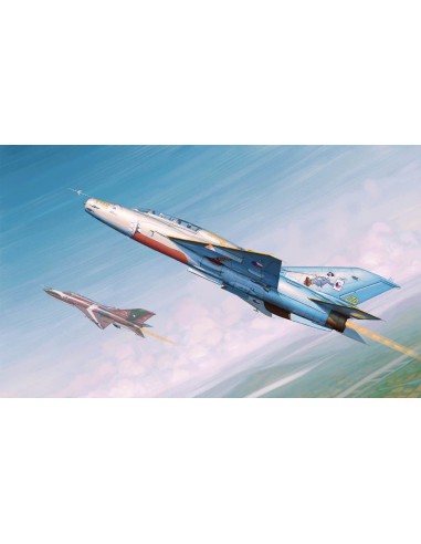 MiG-21UM Fighter 