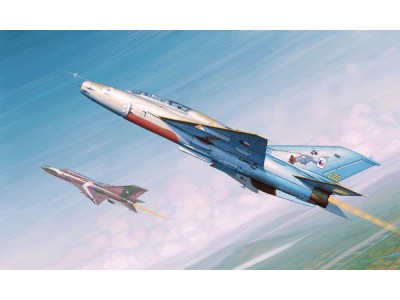 MiG-21UM Fighter 