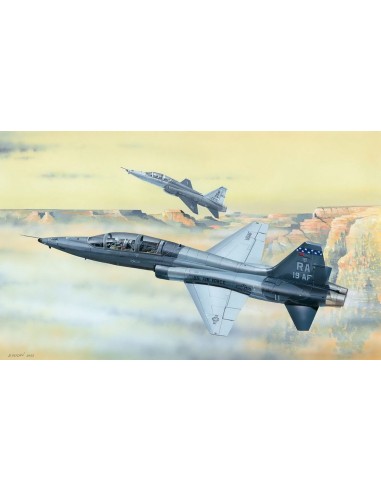 US T-38C Talon 
