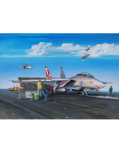 F-14A Tomcat 