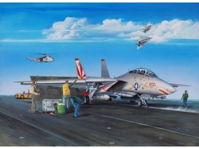F-14A Tomcat 