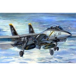 F-14B Tomcat 