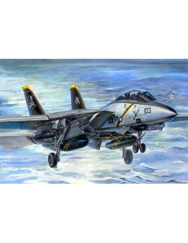 F-14B Tomcat 