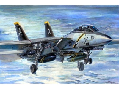 F-14B Tomcat 