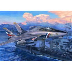 F-14D Super Tomcat 