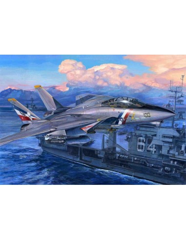 F-14D Super Tomcat 