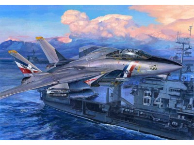 F-14D Super Tomcat 