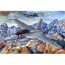 F/A-18F Super Hornet 