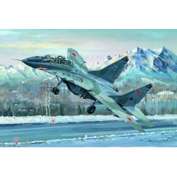 Russian MIG-29UB Fulcrum 