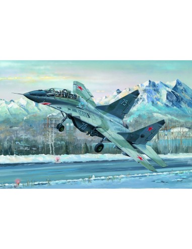 Russian MIG-29UB Fulcrum 