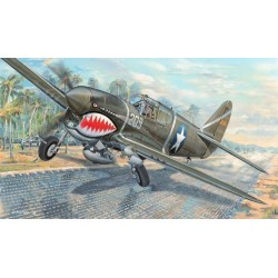 P-40F War Hawk 