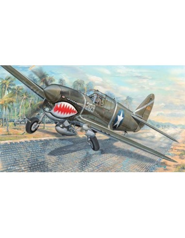 P-40F War Hawk 